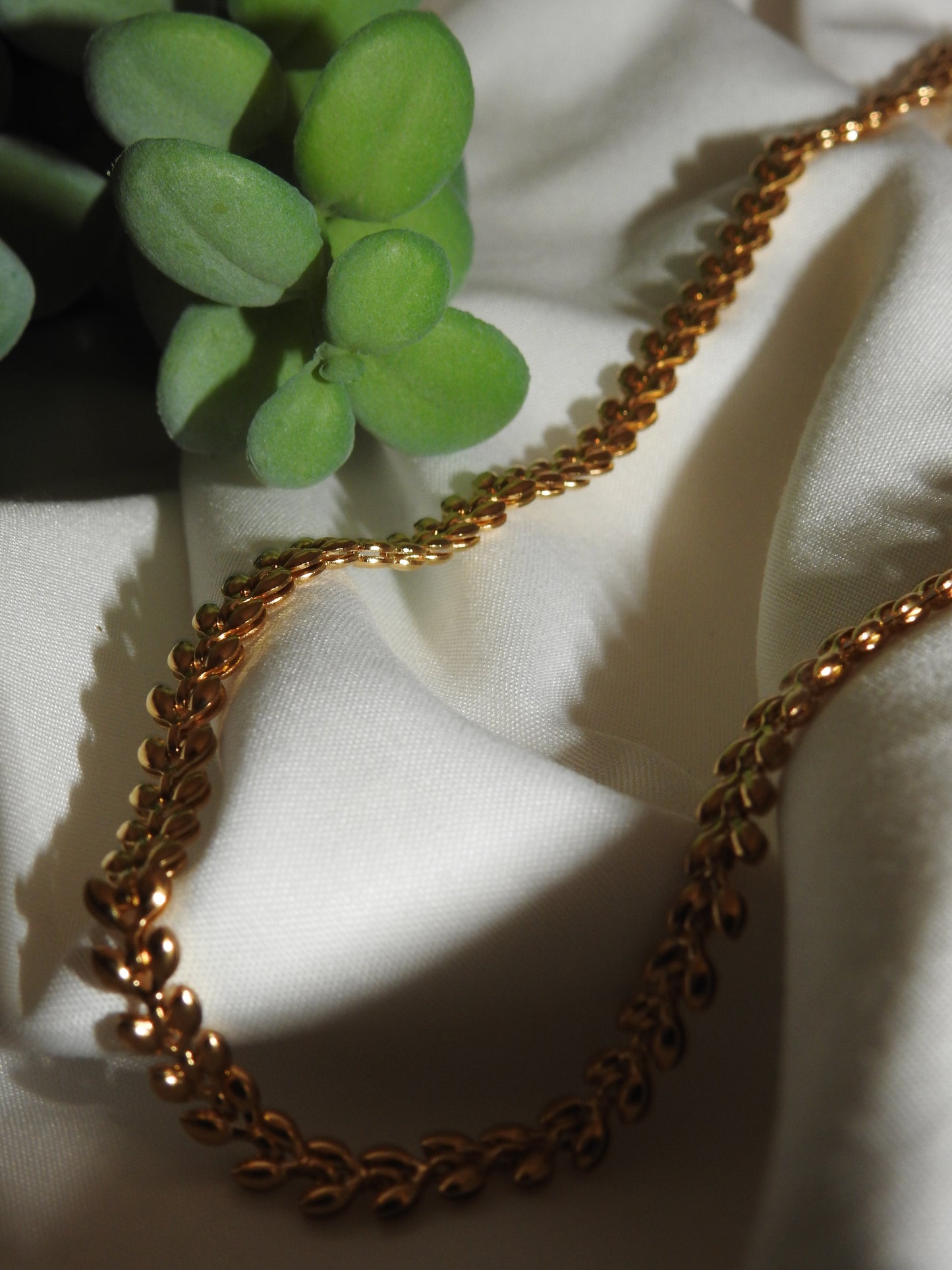Vine Chain